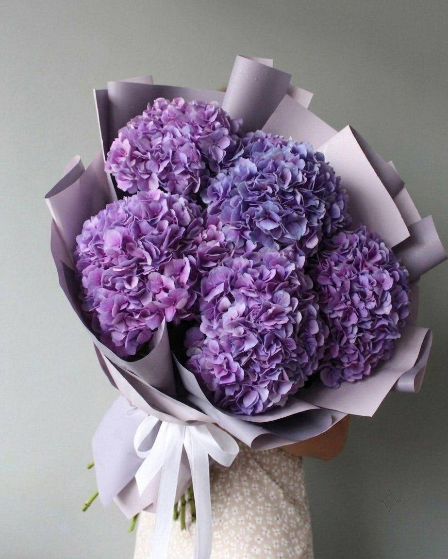 Моно-букет из 7 фиолетовых гортензий
